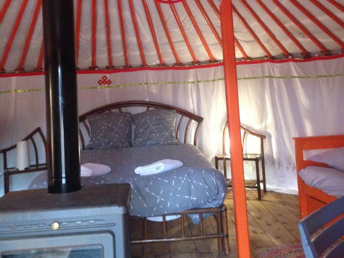 Yourte Mongole Saint-Léger-sur-Dheune 外观 照片
